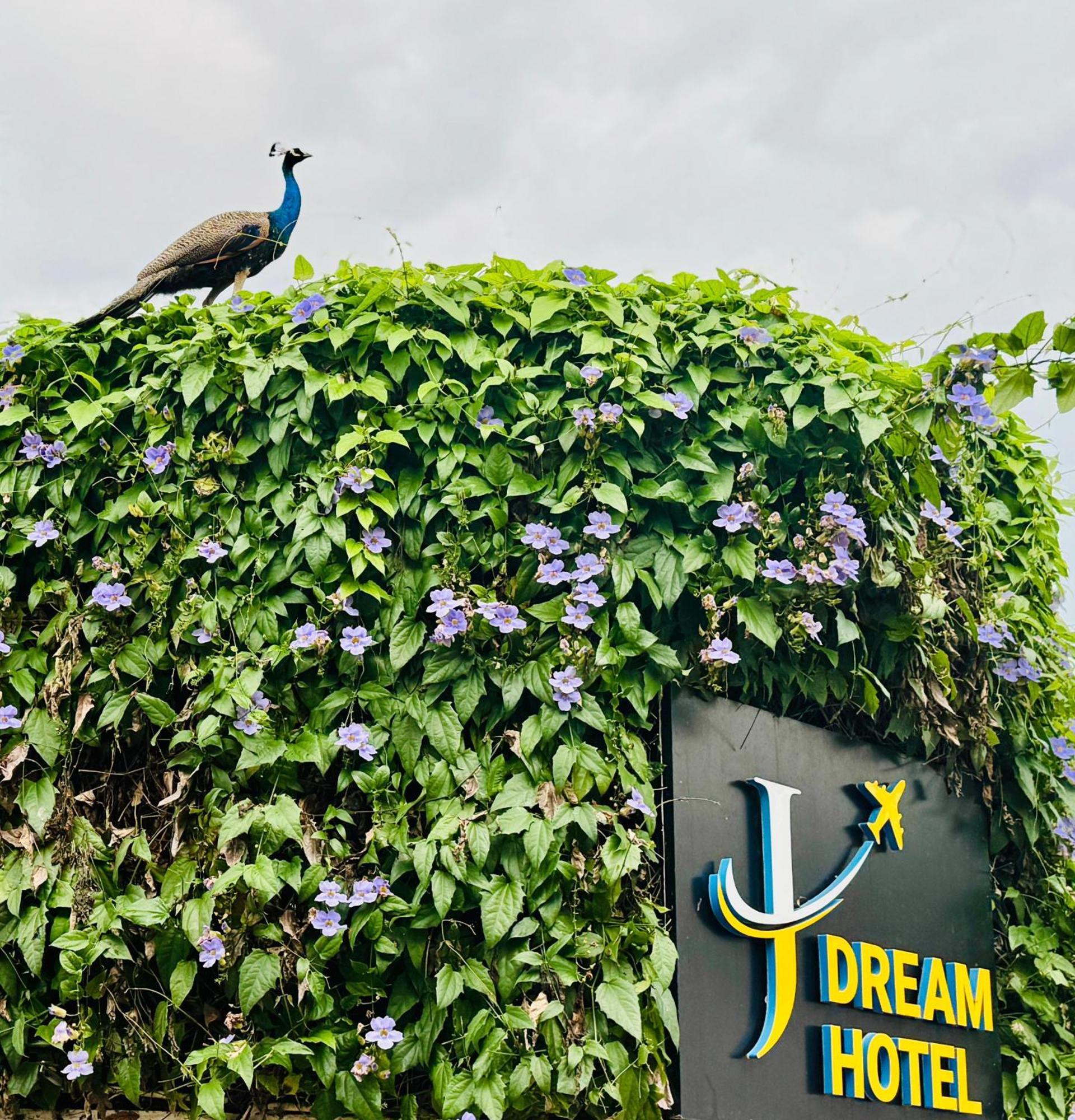 Airport J Dream Resort Dewamottawa Exterior foto